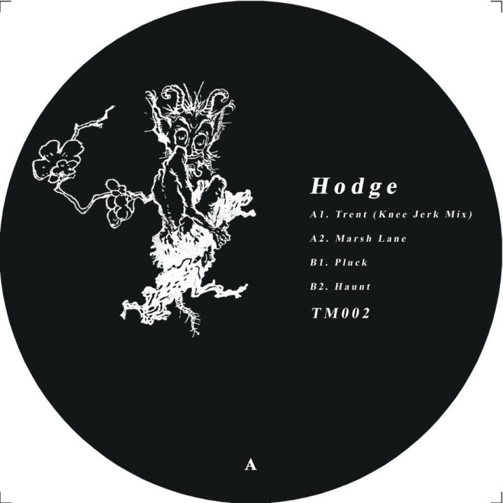 Hodge: Trent (Knee Jerk Mix) [tm] 2025