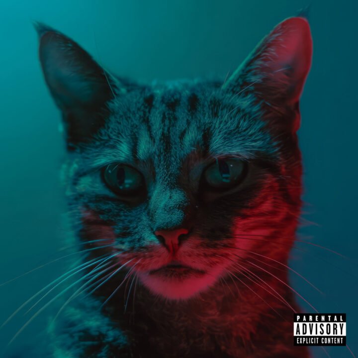 Marie Davidson: Pleasure On My Mind [fabric] 2024