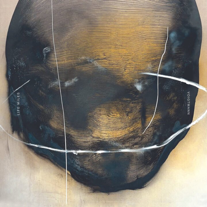 Voigtmann: Lowrider [20/20 Vision] 2025