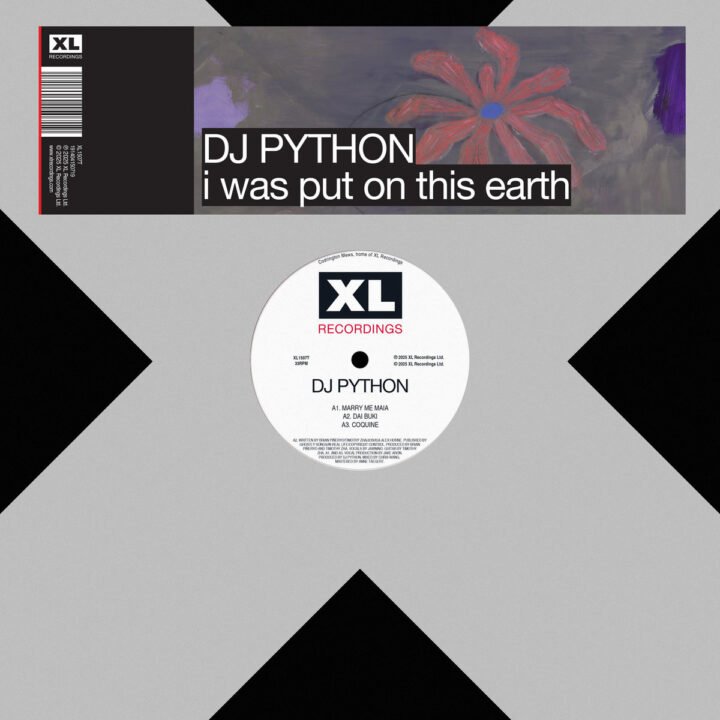 Dj Python: Marry Me Maia [XL Recordings] 2025