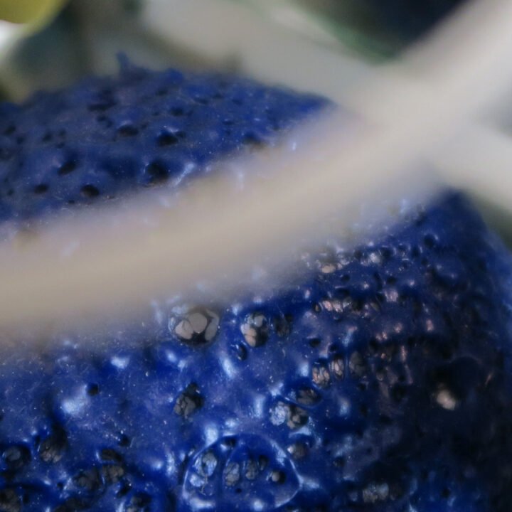 Versalife: Bias Cascade [ret] 2026