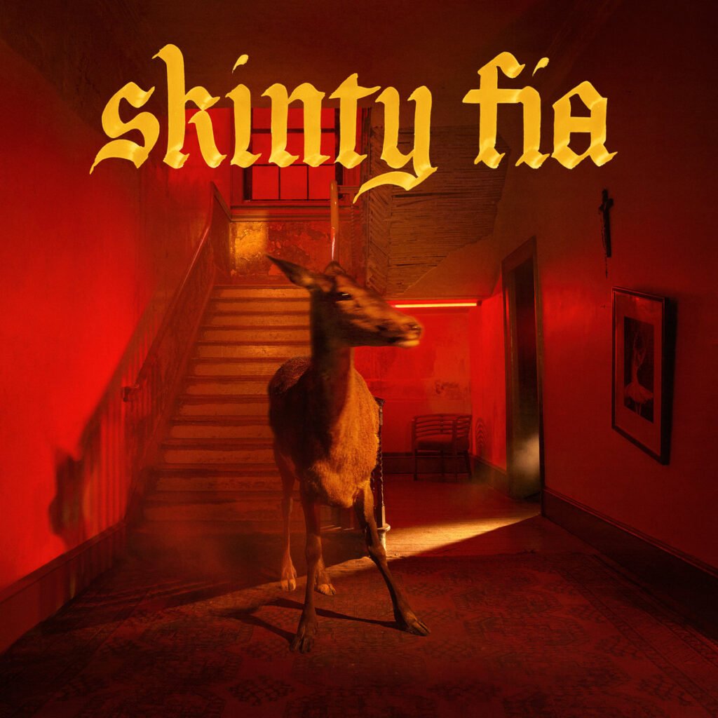 Fontaines D.C.: Skinty Fia [Partisan] 2022