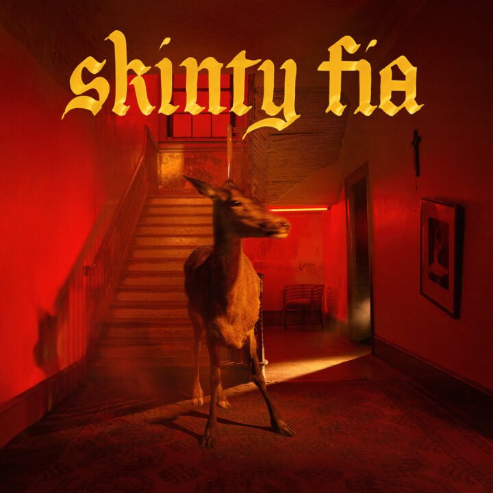 Fontaines D.C.: Skinty Fia [Partisan] 2022